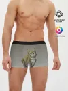Мужские трусы боксеры / полосатый уличный кот