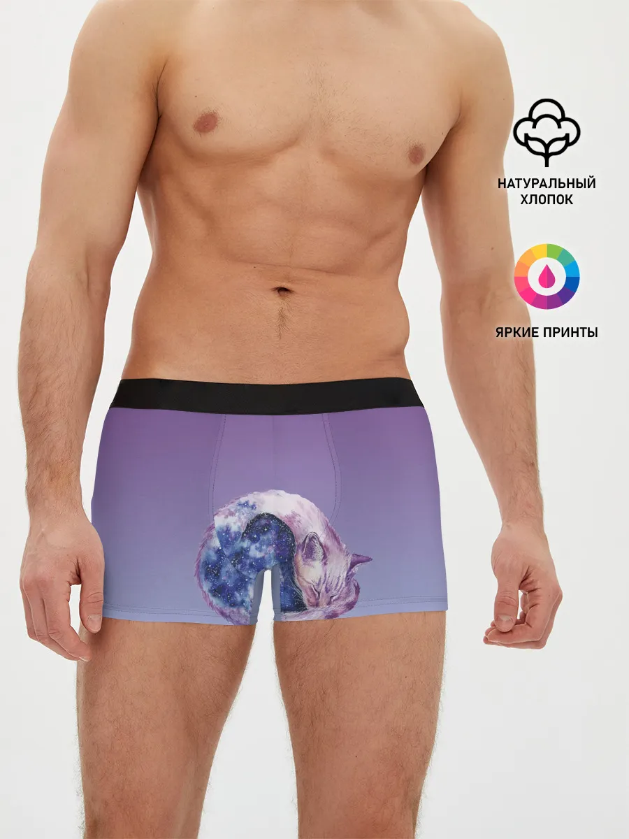 Мужские трусы боксеры / кот звездное небо спит