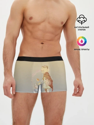 Мужские трусы боксеры / девочка и мышка друзья