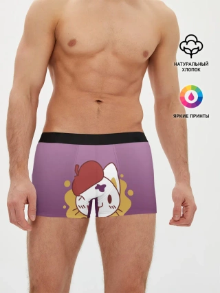 Мужские трусы боксеры / кот художник творец