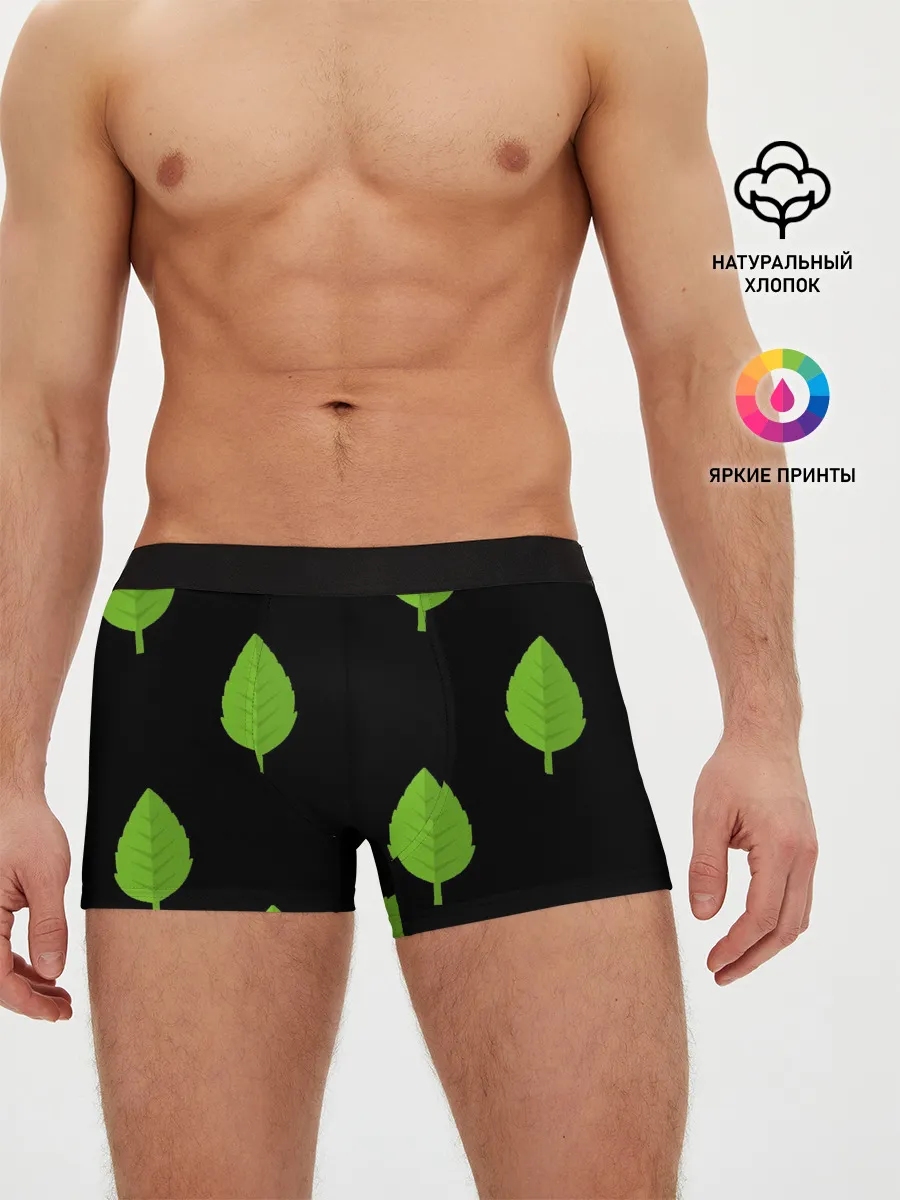 Мужские трусы боксеры / Птица и листочек
