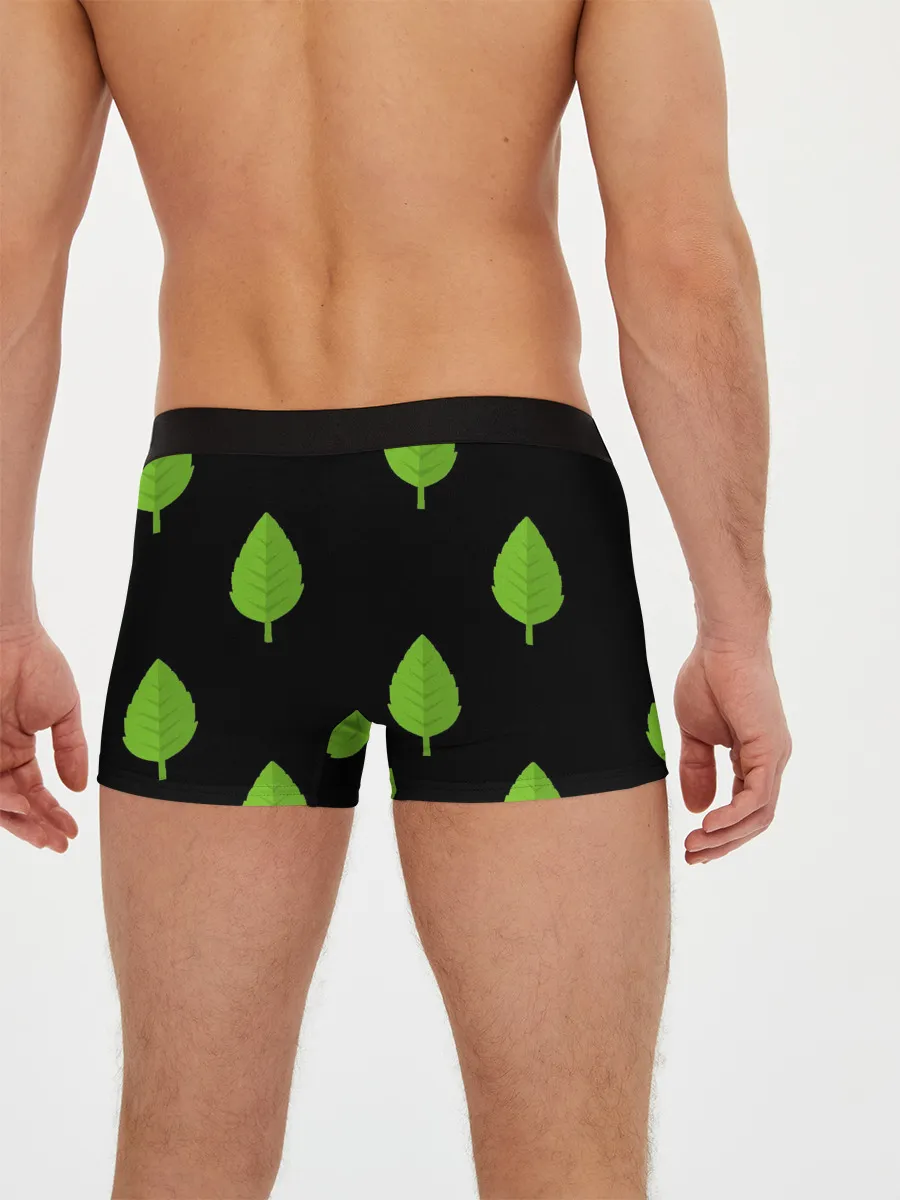 Мужские трусы боксеры / Птица и листочек