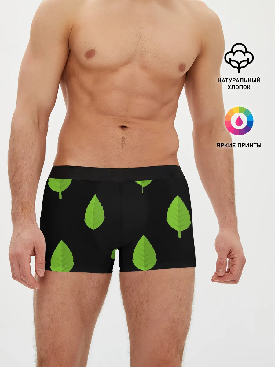 Мужские трусы боксеры / Птица и листочек