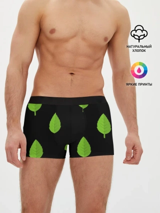 Мужские трусы боксеры / Птица и листочек