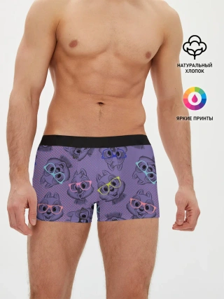 Мужские трусы боксеры / Chip n Dale
