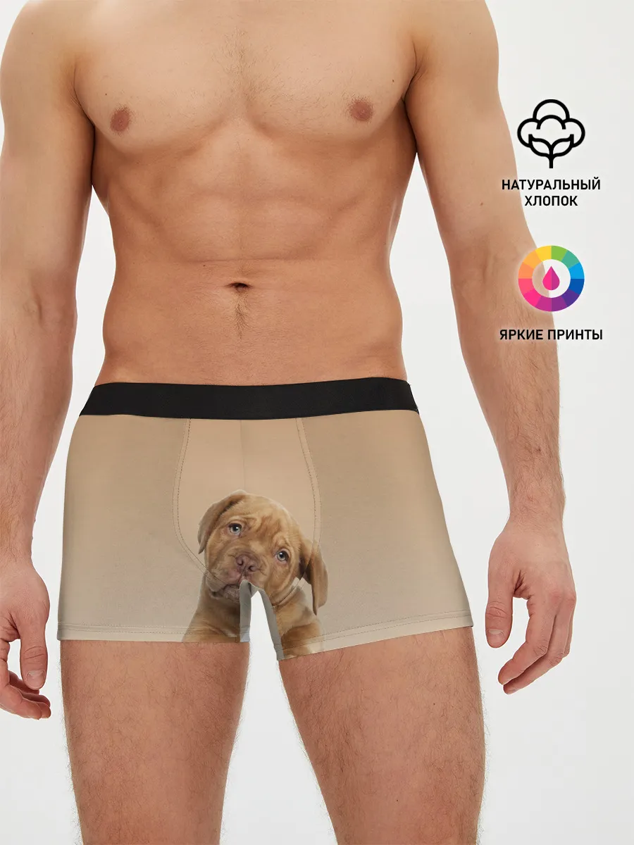 Мужские трусы боксеры / питбуль