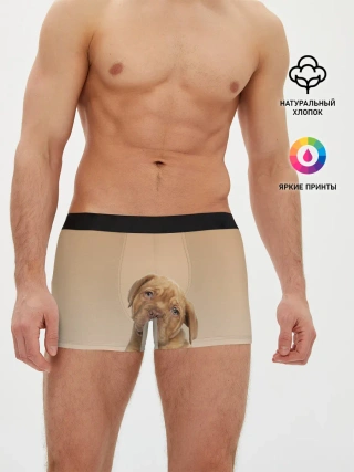 Мужские трусы боксеры / питбуль
