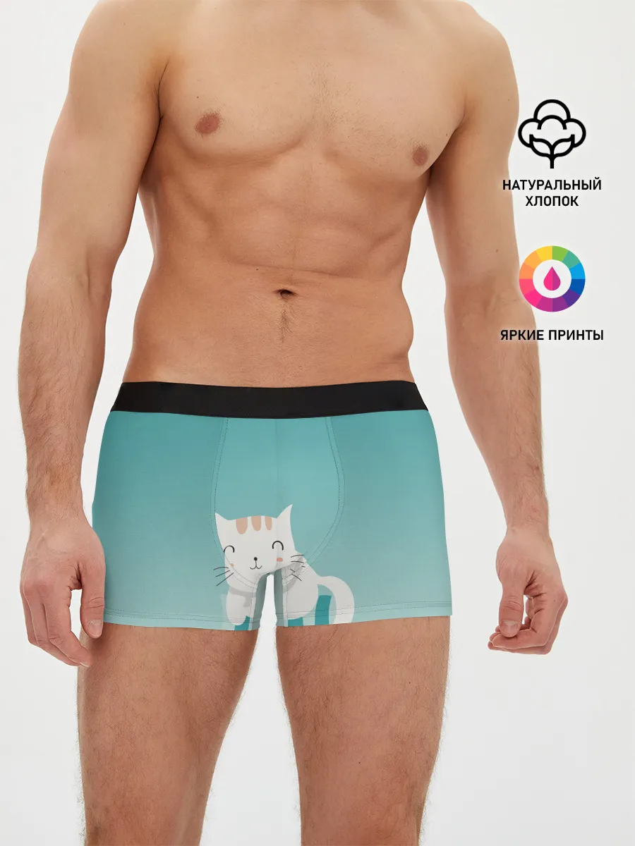 Мужские трусы боксеры / котик на подстилке