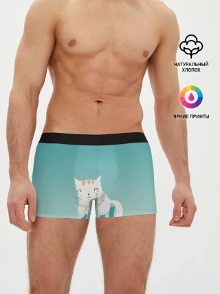 Мужские трусы боксеры / котик на подстилке
