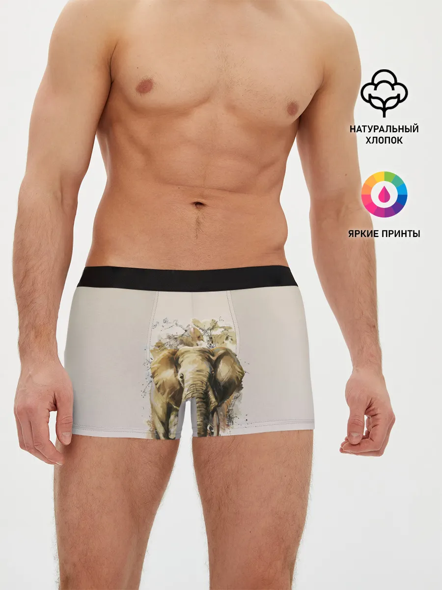 Мужские трусы боксеры / акварельный слон брызги