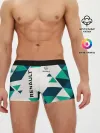 Мужские трусы боксеры / Renault