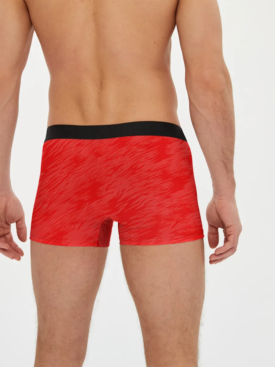 Мужские трусы боксеры / LINKIN PARK