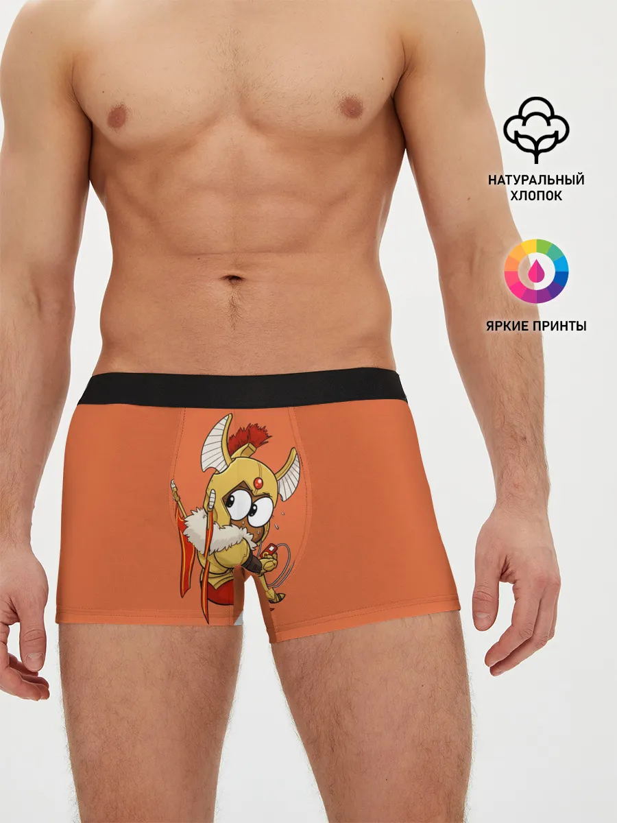 Мужские трусы боксеры / Легионка | Dota 2