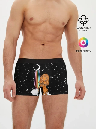 Мужские трусы боксеры / Львица