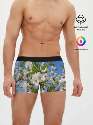 Мужские трусы боксеры / Цвет вишни