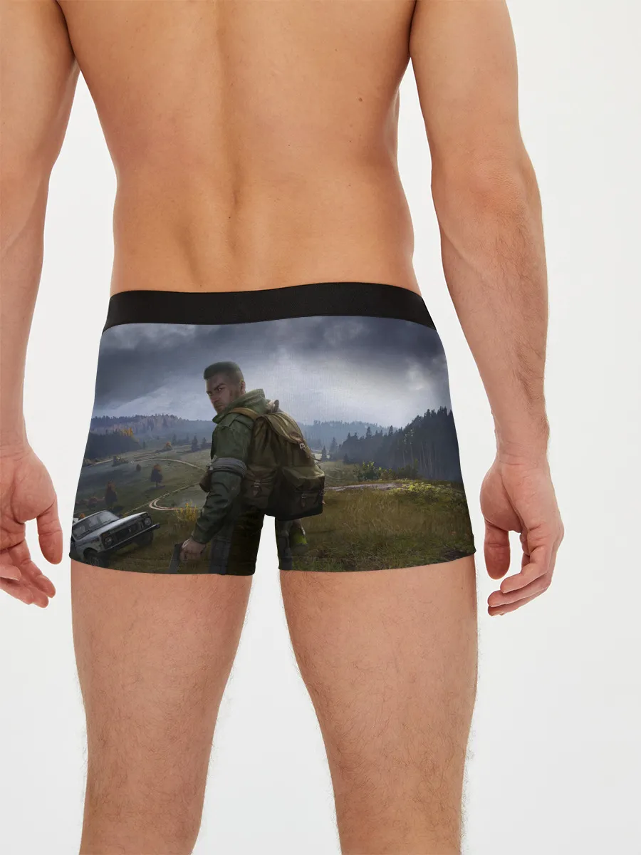 Мужские трусы боксеры / DAYZ POSTER | ДЕЙЗИ ПОСТЕР