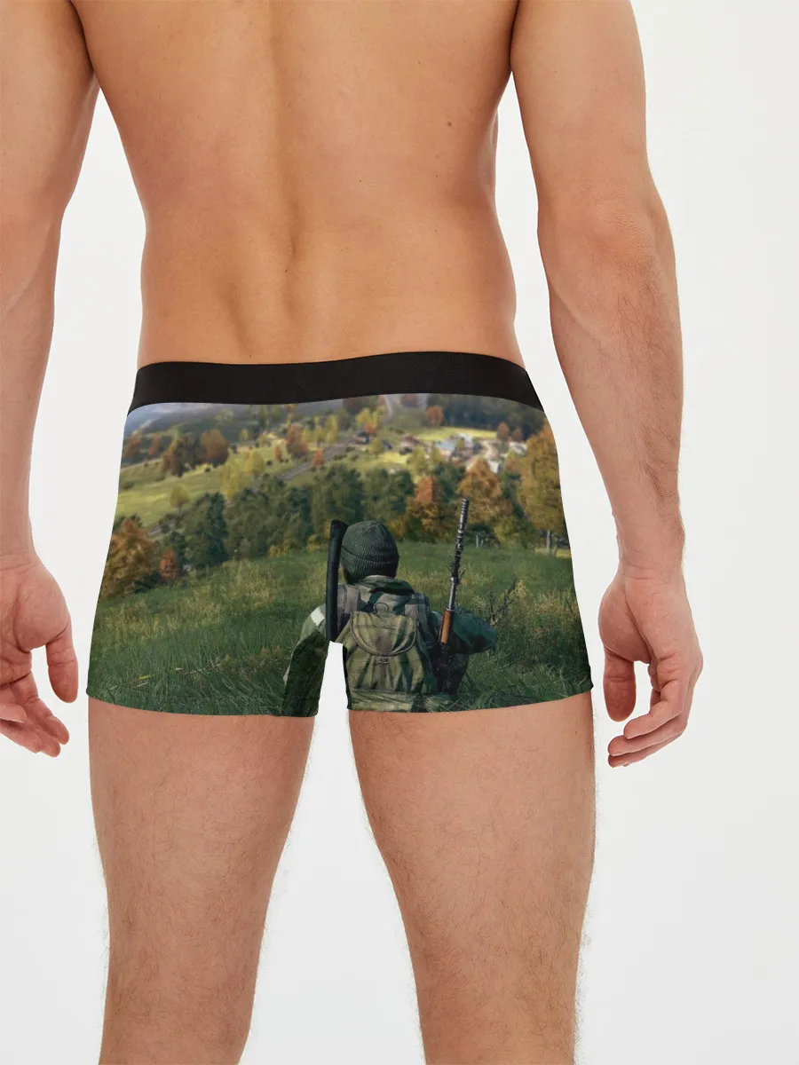 Мужские трусы боксеры / DayZ