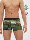 Мужские трусы боксеры / DayZ