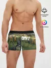 Мужские трусы боксеры / DayZ