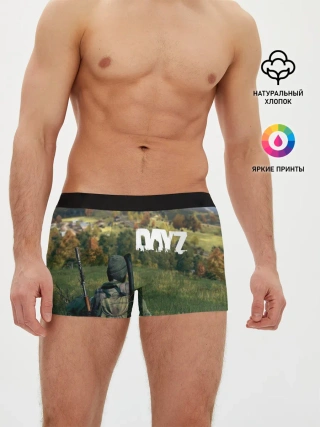 Мужские трусы боксеры / DayZ