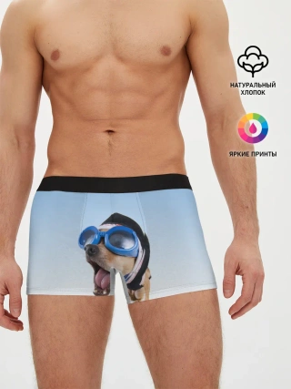 Мужские трусы боксеры / собака в очках