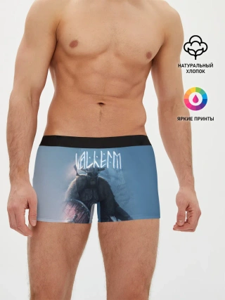 Мужские трусы боксеры / Valheim