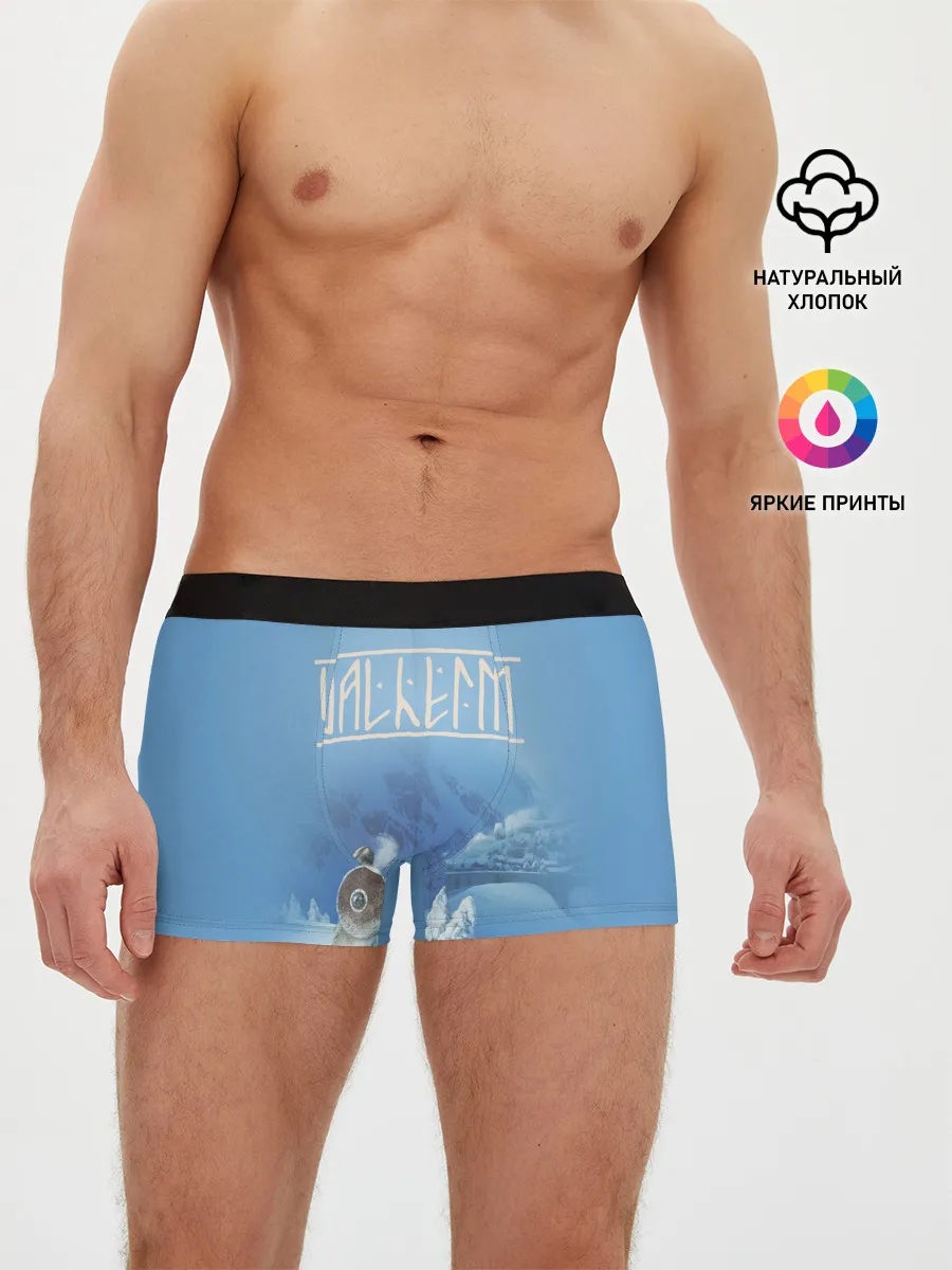 Мужские трусы боксеры / Valheim