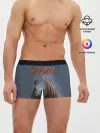 Мужские трусы боксеры / Valheim