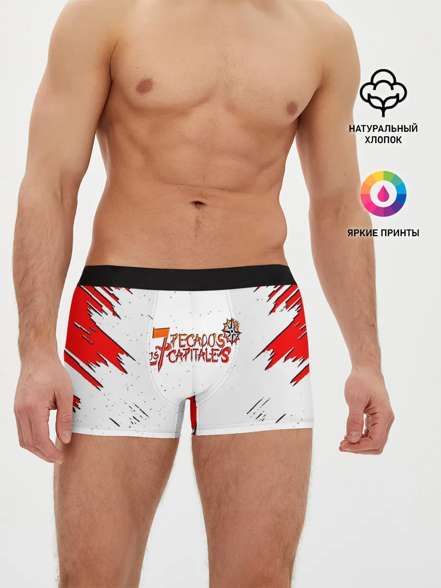 Мужские трусы боксеры / Nanatsu no Taizai lines