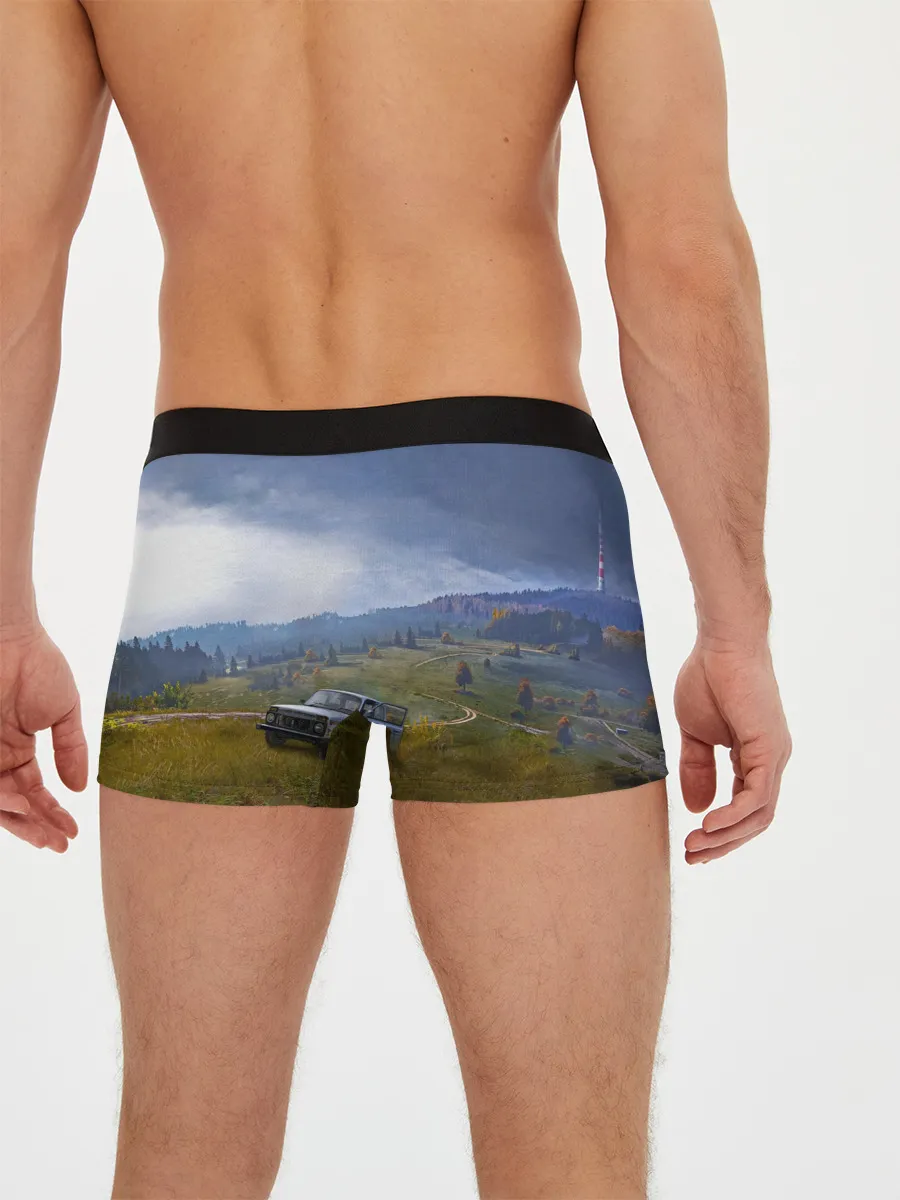 Мужские трусы боксеры / DayZ | ДэйЗи