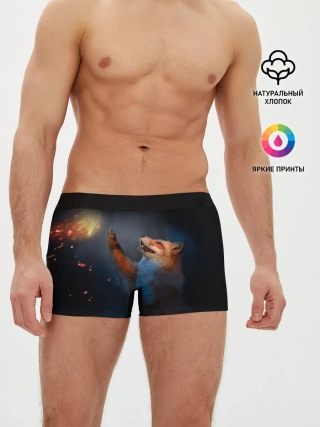 Мужские трусы боксеры / Лиса и огонек