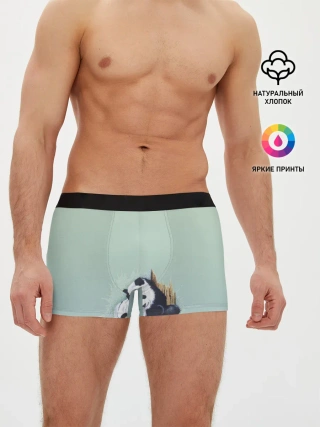Мужские трусы боксеры / акварельные панды