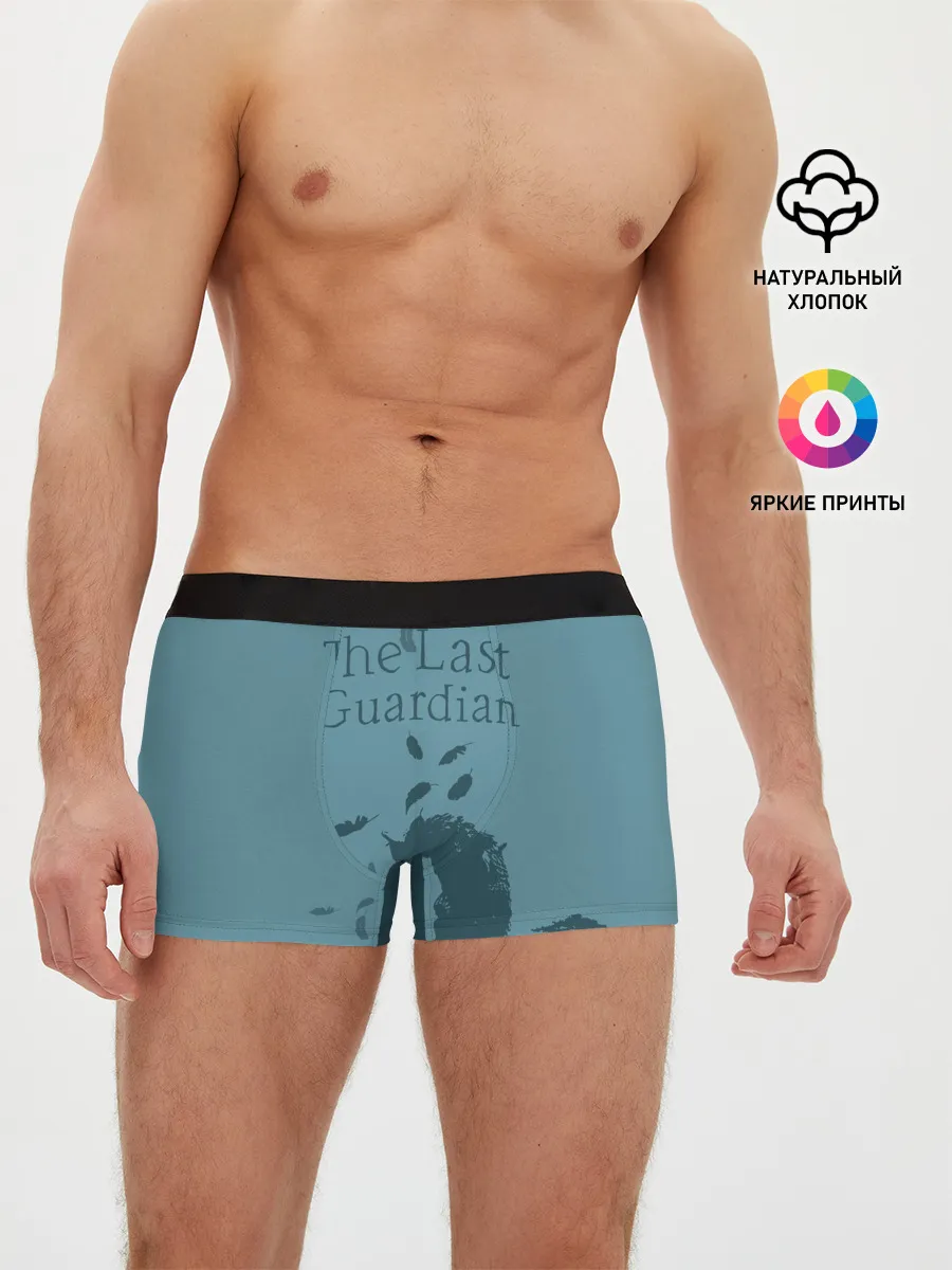 Мужские трусы боксеры / the last guardian