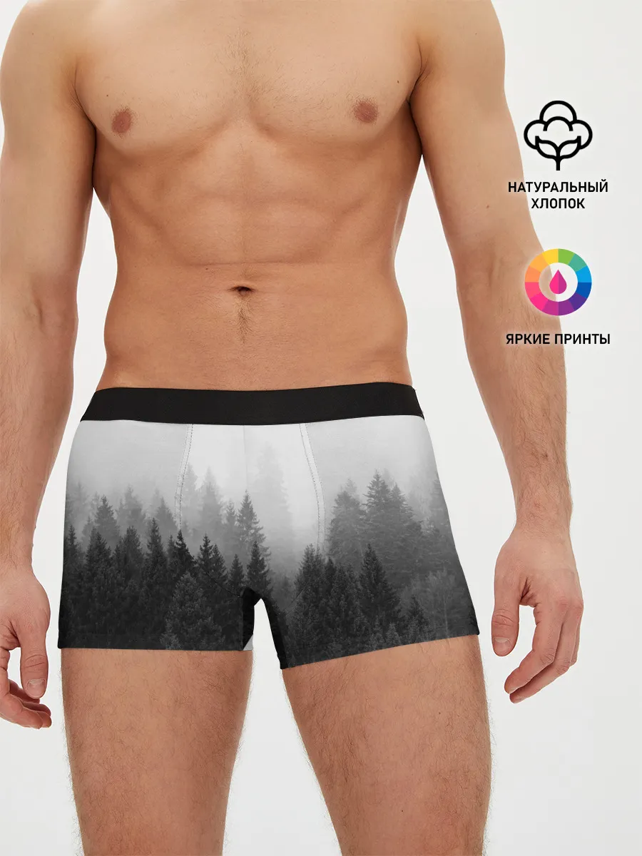 Мужские трусы боксеры / Туманный лес