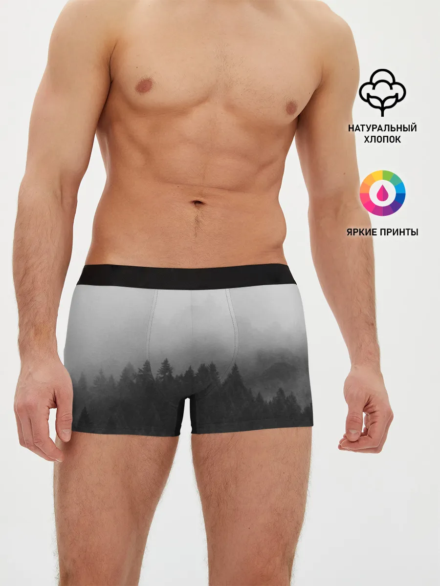 Мужские трусы боксеры / Туманный лес