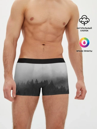 Мужские трусы боксеры / Туманный лес