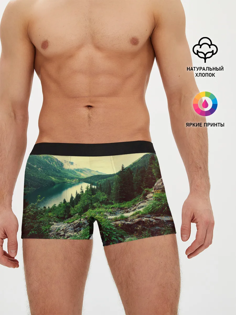 Мужские трусы боксеры / Красивый лес