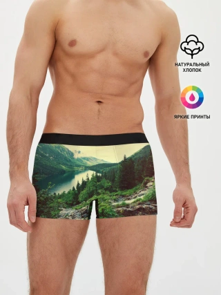 Мужские трусы боксеры / Красивый лес