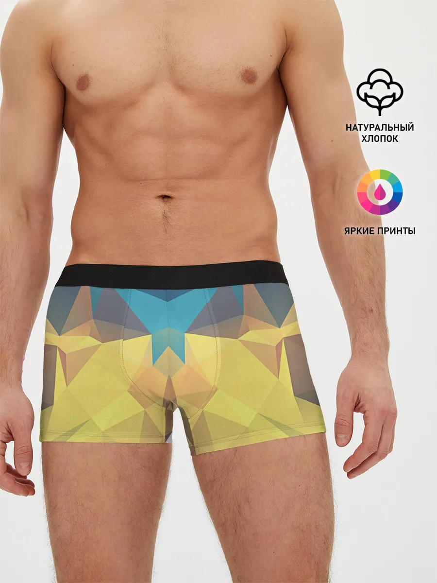 Мужские трусы боксеры / Абстрактная Геометрия
