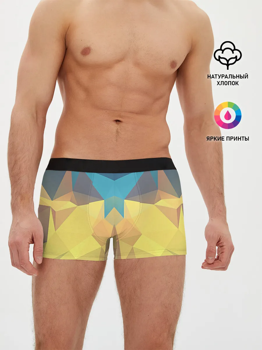 Мужские трусы боксеры / Абстрактная Геометрия