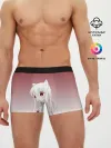 Мужские трусы боксеры / малышка ушки хвост глаза