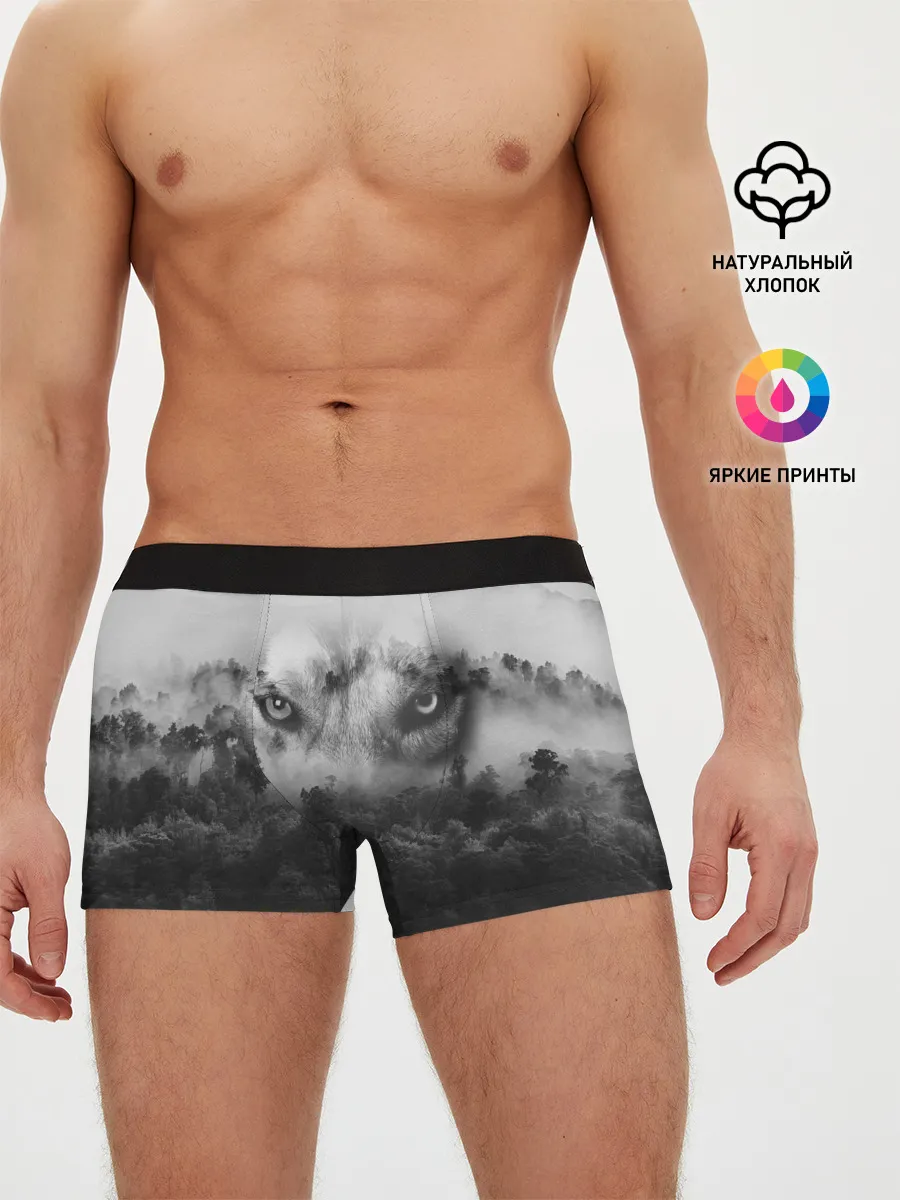 Мужские трусы боксеры / Волк в лесу