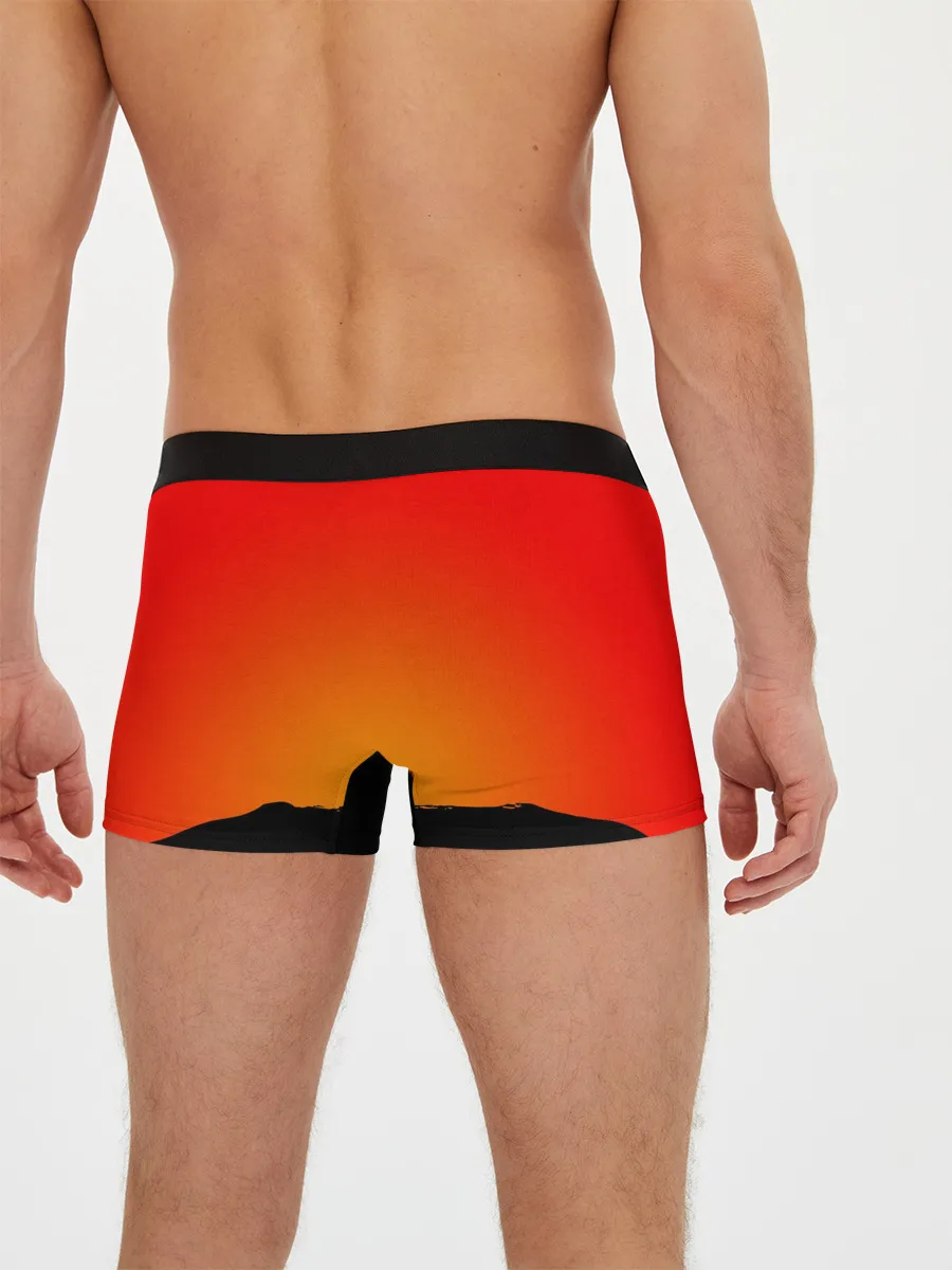 Мужские трусы боксеры / NIOH 2