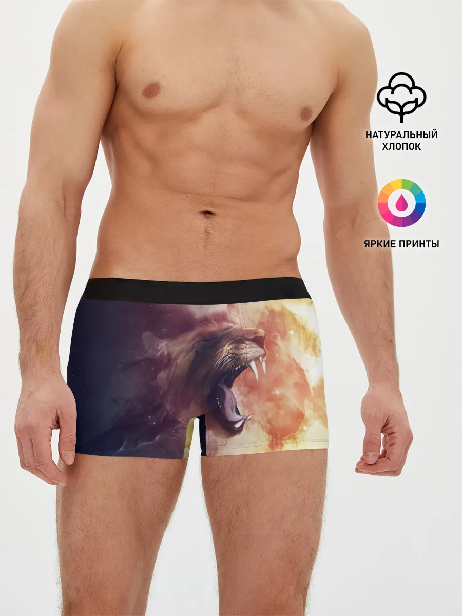 Мужские трусы боксеры / TIGER ROAR