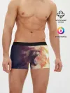 Мужские трусы боксеры / TIGER ROAR