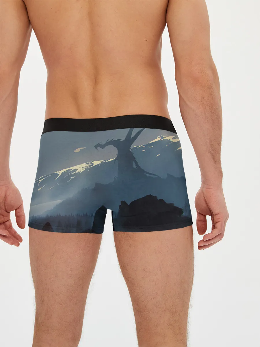 Мужские трусы боксеры / Ведьмак