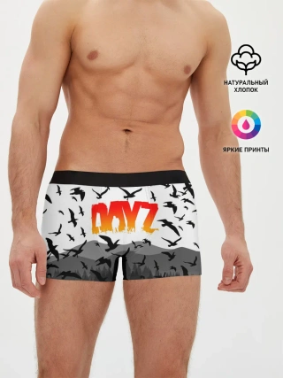 Мужские трусы боксеры / DAYZ