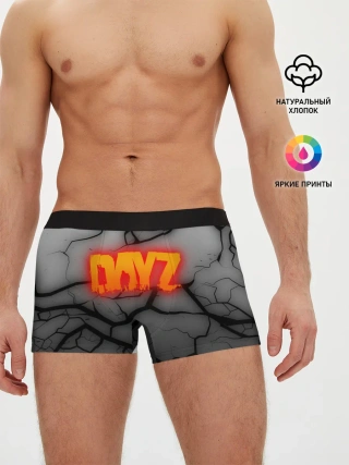 Мужские трусы боксеры / DAYZ