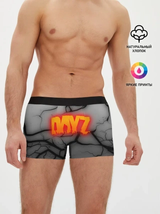 Мужские трусы боксеры / DAYZ