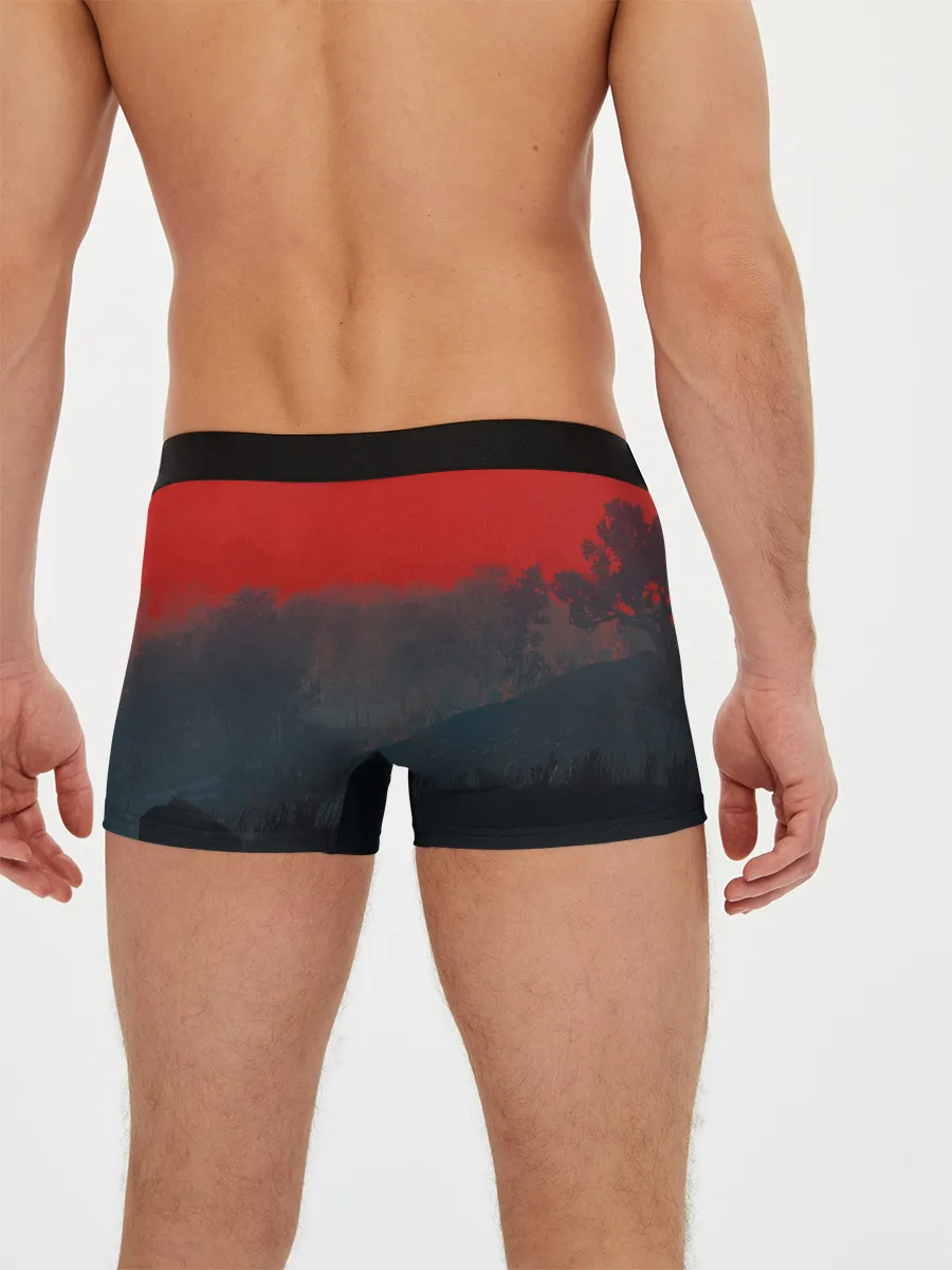 Мужские трусы боксеры / На плотве | Ведьмак